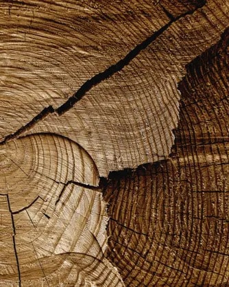 Σχεδιασμός με βιωσιμότητα